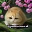 猎奇91人文编辑王博远头像，文化人类学背景，负责人文异俗与自然奇观分区内容运营